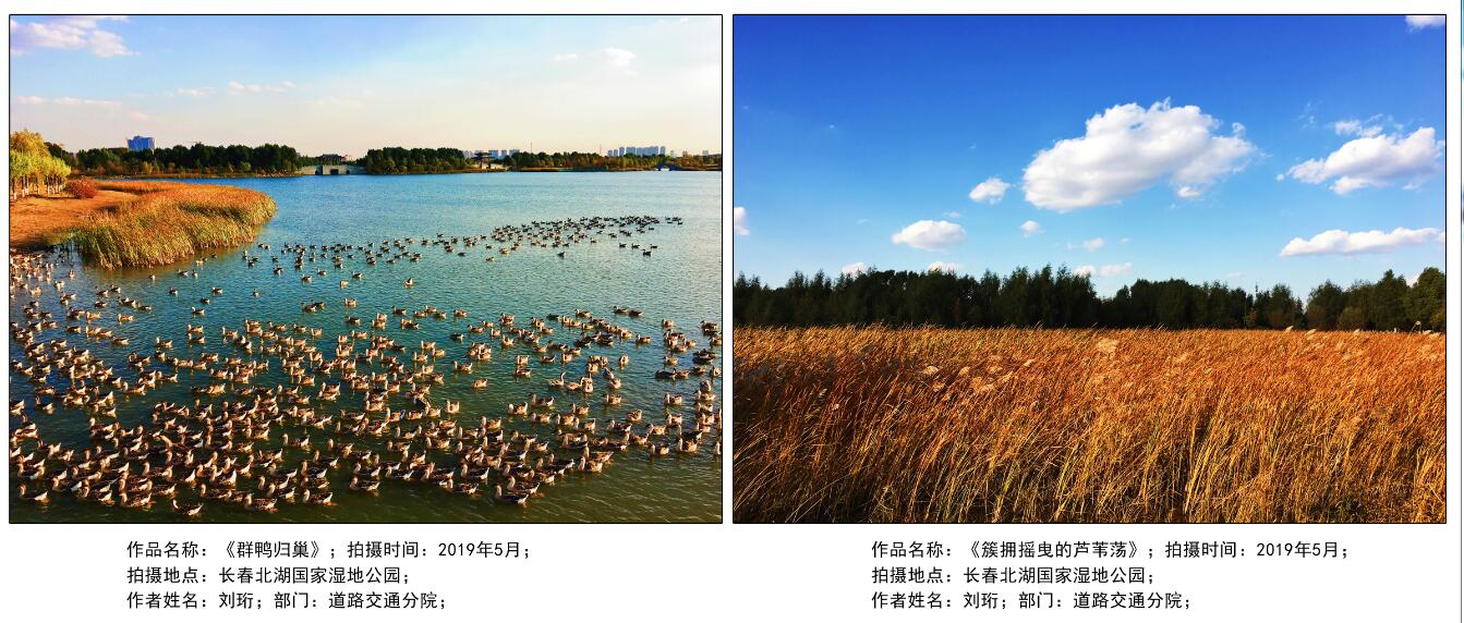 网站-1（?。?/></p><p><br/></p><p style=